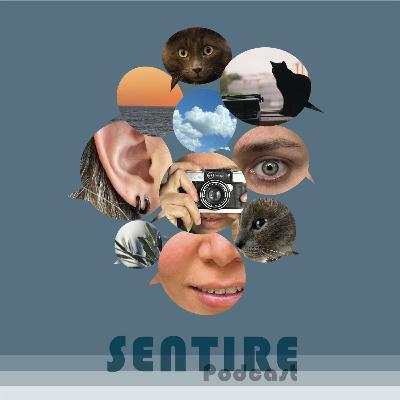 T1. EP9./CINE/POESÍA EN FOTOGRAMAS DE CORTO Y LARGOMETRAJES EN MÉXICO CON GONZALO ROMERO