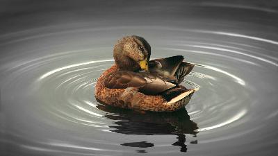 Сила доброты