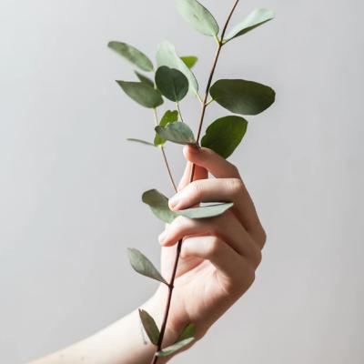 Życie chce dobrze Życie chce dobrze