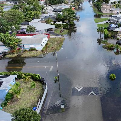 For private flood insurance companies, the government shutdown is good for business