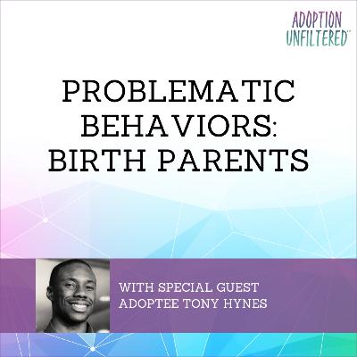 Problematic Behaviors of Birth Parents Problematic Behaviors of Birth Parents