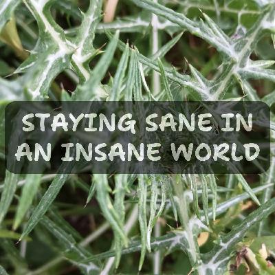 Staying Sane in an Insane World Staying Sane in an Insane World