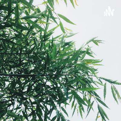 183.摩拜胡炜玮：资本助推你的，你都会还回去