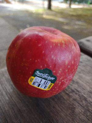 Episode 62 - The Apples I Used to Recommend and Why I Don't Anymore