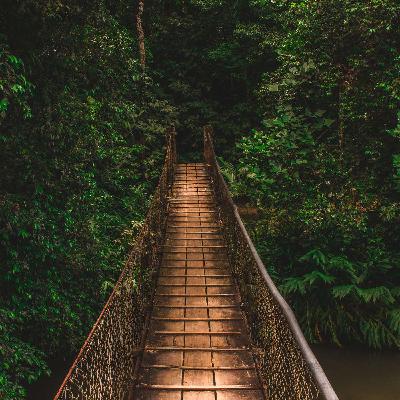 Bridging the Gap in SaaS Security