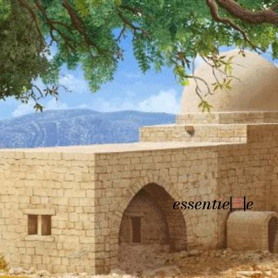 5786 - Des larmes de souffrance aux larmes de force !