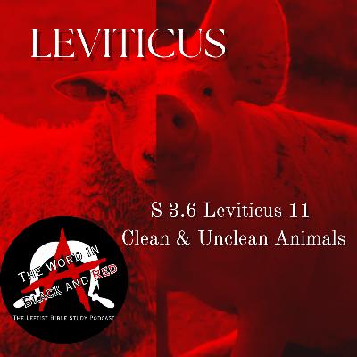 3.6 | Leviticus 11 | Clean & Unclean Animals