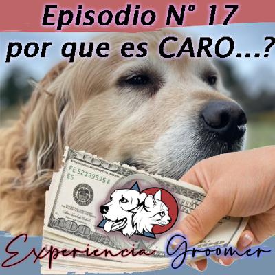 Episodio N°17 | Por que es CARO la peluquería Canina?