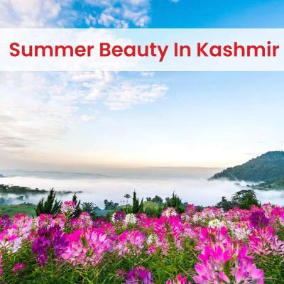 #sbofficial | Summer Beauty in Kashmir | S B Official #sbofficial | Summer Beauty in Kashmir | S B Official