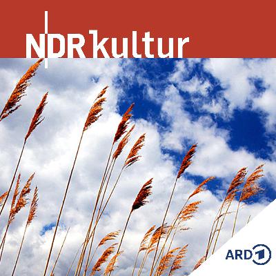 Lichtschmerz - Wie Paulus von der Auferstehung spricht