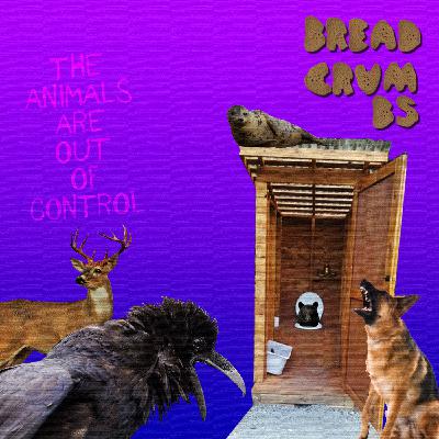 The Animals Are Out Of Control The Animals Are Out Of Control