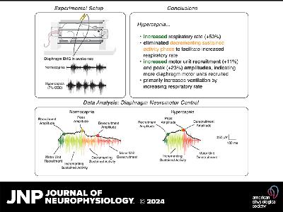 JNP Podcasts: Hypercapnia elicits changes in diaphragm neuromotor control