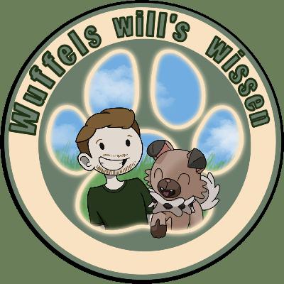 Welches Pokemon bin ich? #8 - Pyrotechnik Welches Pokemon bin ich? #8 - Pyrotechnik