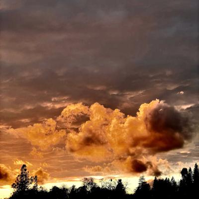 Episode 1 Season 5 Integrity Radio - Winter Soundscapes and Coyotes Howling