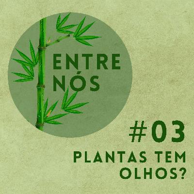 Entre Nós 03 - Plantas tem olhos?