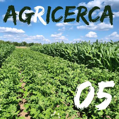 05 - Sistemi agroforestali e biodiversità del suolo con Matilde Bragadini 05 - Sistemi agroforestali e biodiversità del suolo con Matilde Bragadini