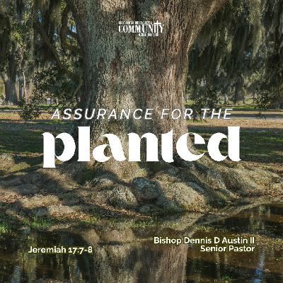 Assurance for the Planted