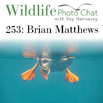 253: Brian Matthews 253: Brian Matthews