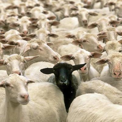 AI Therapy, Parenting, Black Sheep of Christianity, Friendship, Depression, Loneliness, Loss