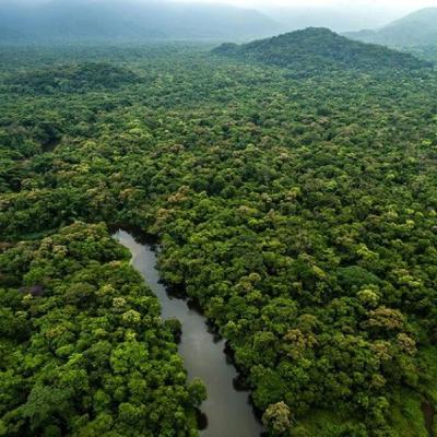 Luchy amazonia