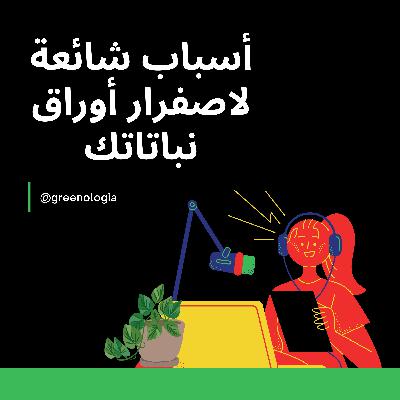 Épisode 3 - علاش أوراق النباتات المنزلية كاتصفار رغم الإعتناء بها؟ Épisode 3 - علاش أوراق النباتات المنزلية كاتصفار رغم الإعتناء بها؟
