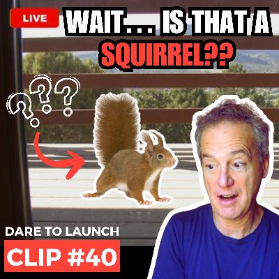 Behind The Scenes Of The Launch Masterclass: The Squirrel Cam Story - Launch Masterclass starts in 2 days! Behind The Scenes Of The Launch Masterclass: The Squirrel Cam Story - Launch Masterclass starts in 2 days!