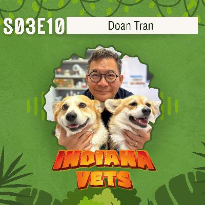 S03E10/ Doan Tran: Cure, care et neurones en l’air... mode d’emploi pour vétos hors-normes