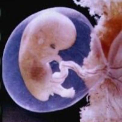 El Aliento de Vida la Fuerza que te Sostiene El Aliento de Vida la Fuerza que te Sostiene