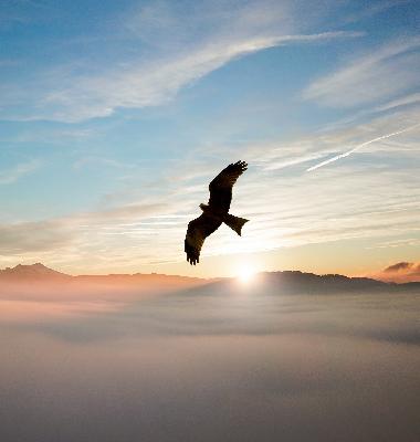 פתיחת דלתות