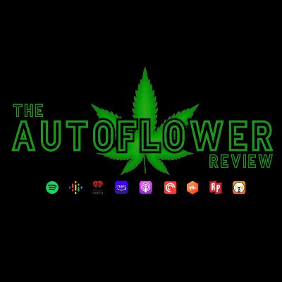 Episode #46 - How to avoid having watering issues in your garden