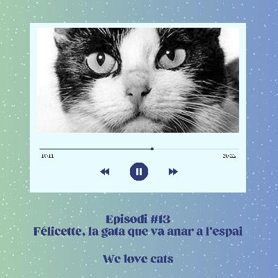 Episodi #13 - Félicette, la gata que va anar a l’espai 🐈​✨​🚀​​
