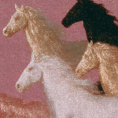 马年特集—「以梦为马 骑马观月 随处可栖」 马年特集—「以梦为马 骑马观月 随处可栖」