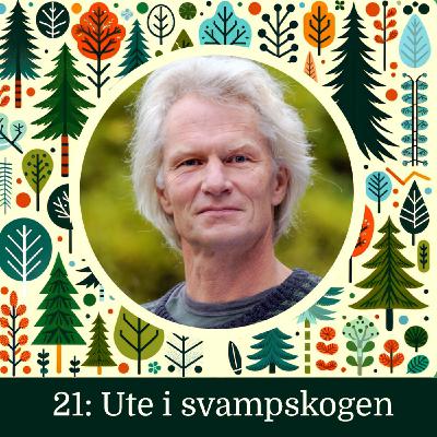 Ute i svampskogen - NY (hela avsnittet)