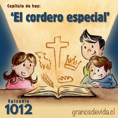#1012 El cordero especial