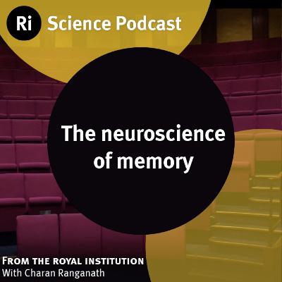 The neuroscience of memory - with Charan Ranganath