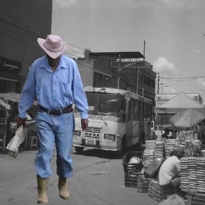 Les producteurs de café arrivent à Caracas... prix et vente aux enchères
