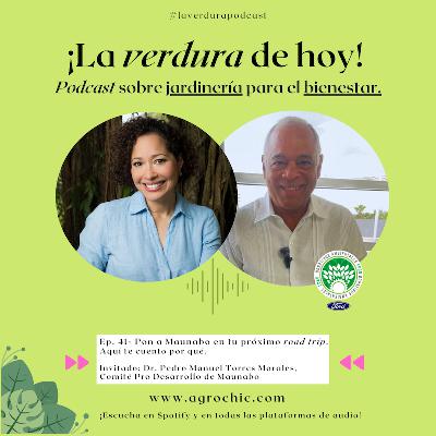 E. 41 - Pon a Maunabo en tu próximo road trip. ¡Aquí te cuento por qué!