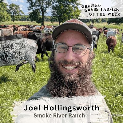 181. Scaling Regenerative Ranching with Ultra High Density Grazing with Joel Hollingsworth