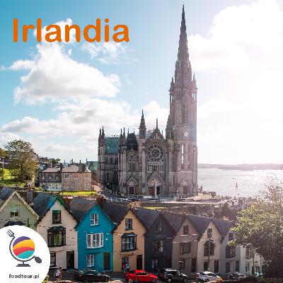 Irlandia: Frytki z octem, zupa z owoców morza i serem cheddar oraz wyśmienitym piwem