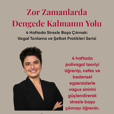 Zor Zamanlarda Stresle Baş Etme Psikoeğitim Serisi Zor Zamanlarda Stresle Baş Etme Psikoeğitim Serisi