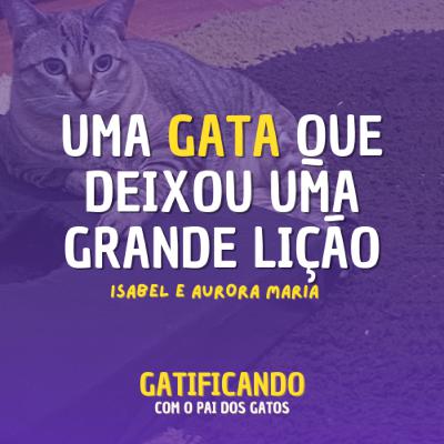 A gata Aurora Maria, uma guerreira que deixou lições. (Isabel & Aurora Maria) - Gatificando #33