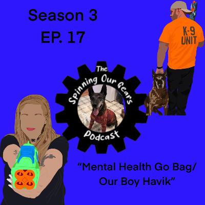 Mental Health Go Bag/ Our Boy Havik - Audio