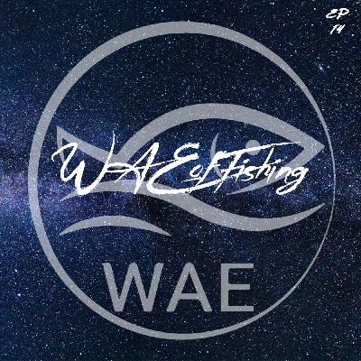 Welcome back to WAE! t Welcome back to WAE! t