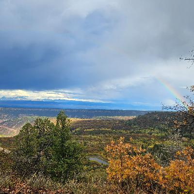43. Black Bear Hunting: Gear and Insights