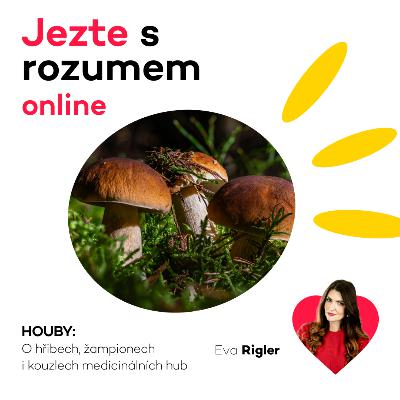 Houby - O hřibech, žampionech i kouzlech medicinálních hub