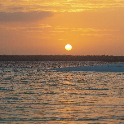 Vision Without Boundaries