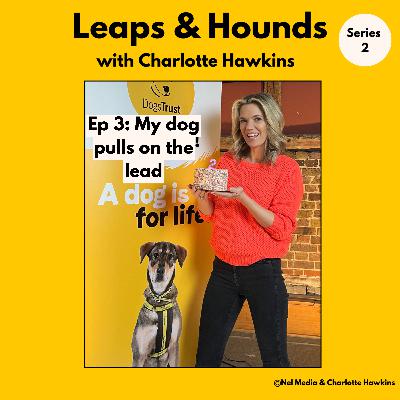 3. Help! My dog pulls on the lead @leapsandhoundspodcast 3. Help! My dog pulls on the lead @leapsandhoundspodcast