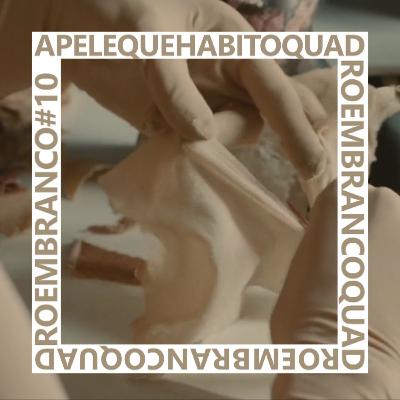 A Pele que Habito, se pá vale a pena | Quadro em Branco #10 A Pele que Habito, se pá vale a pena | Quadro em Branco #10