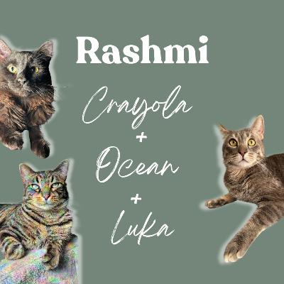 EFT Tapping & Three Healing Cats: A Feline Family Story EFT Tapping & Three Healing Cats: A Feline Family Story