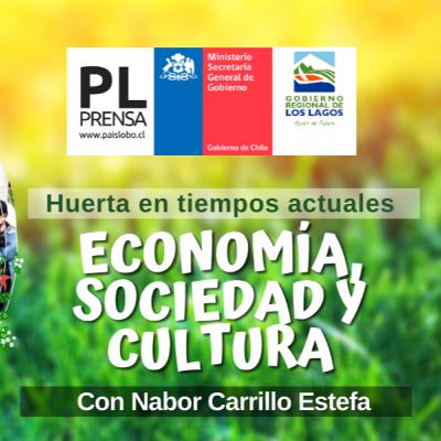 Episodio 4: "Economía, Sociedad y Cultura" en Huerta en tiempos actuales con Nabor Carrillo Episodio 4: "Economía, Sociedad y Cultura" en Huerta en tiempos actuales con Nabor Carrillo